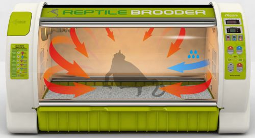 Inkubator dla gadów Reptile Brooder