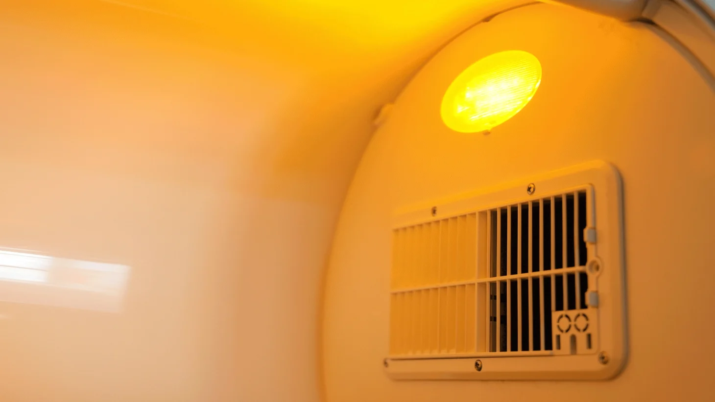 Inkubator dla małych zwierząt Pet Brooder 60- LED światło z ściemniaczem