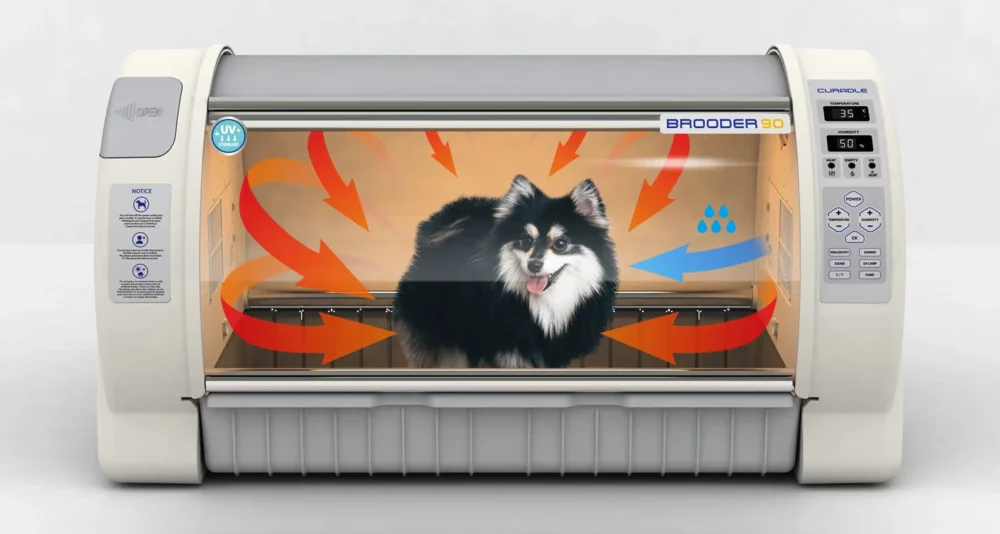 Inkubator Brooder 90 z psem