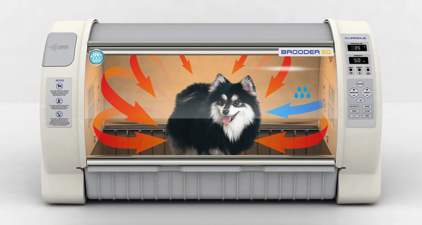 inkubator_brooder90_01