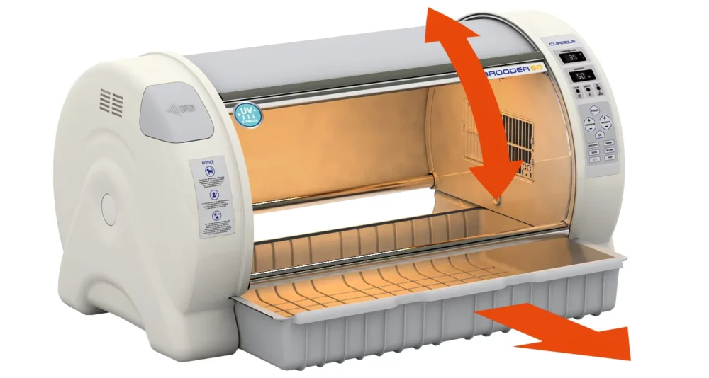 Odchowalnik dla ptaków Brooder 90 - duże okno i kuweta, łatwa do czyszczenia i dezynfekcji.