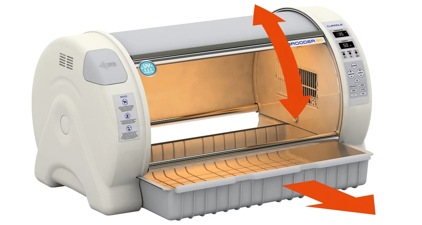 inkubator_brooder90_07