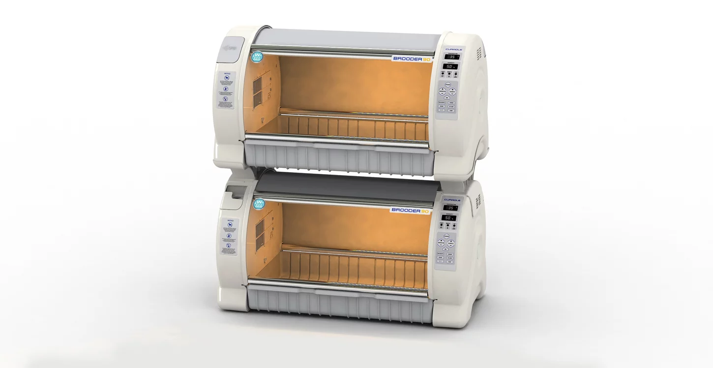 inkubator_brooder90_09