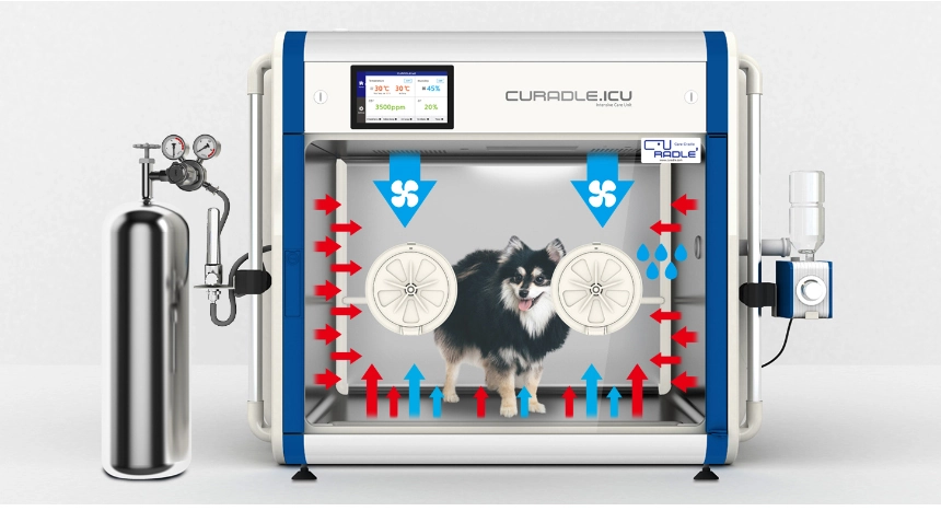 Inkubator weterynaryjny Smart ICU160ProPlus z psem, nebulizatorem i butlą tlenową