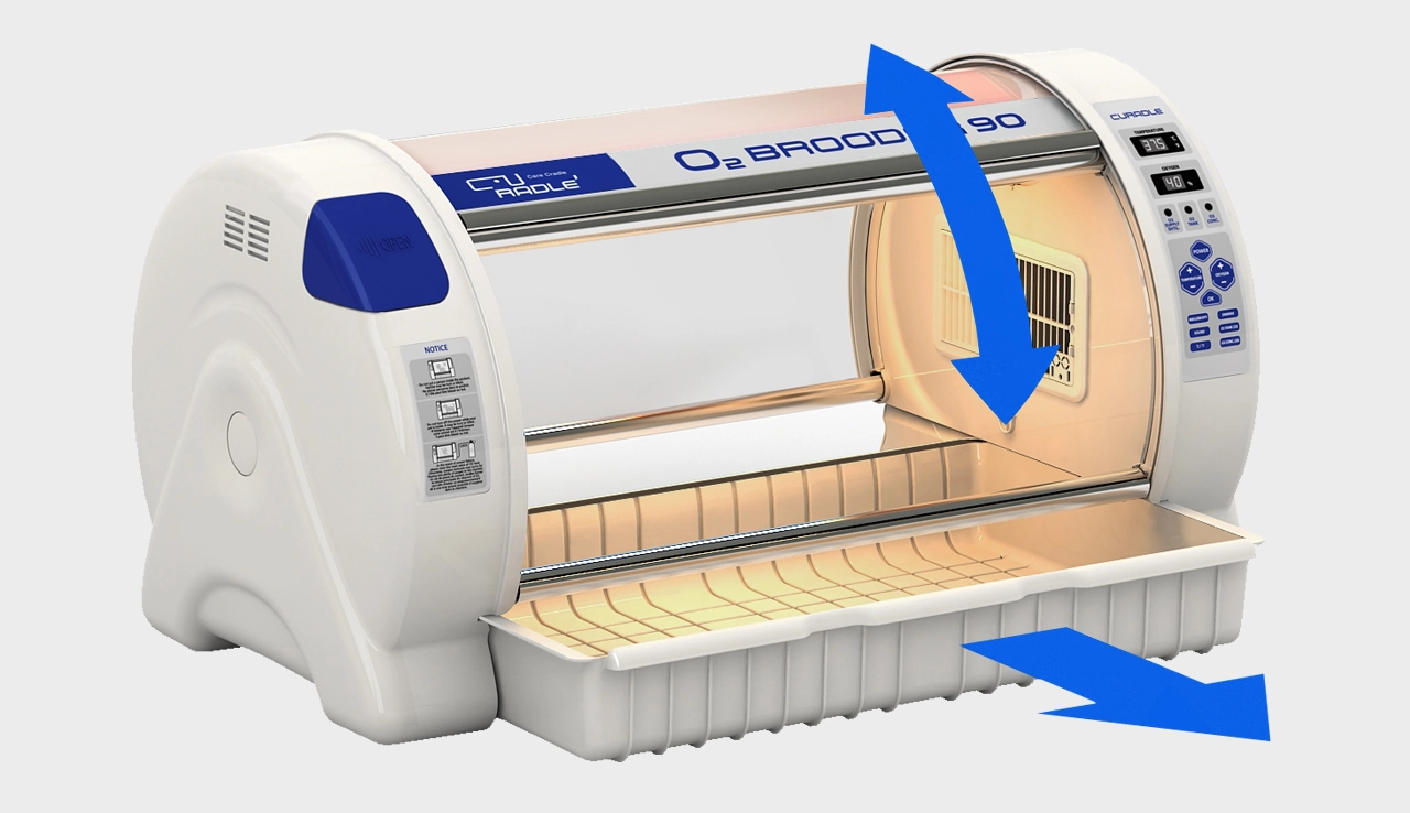 inkubator_brooder_O2_okno
