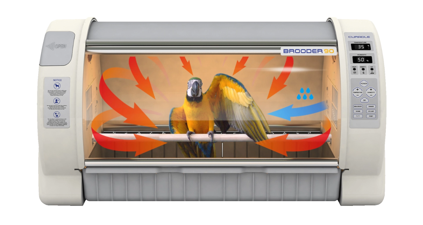 odchowalnik_dla_ptakow